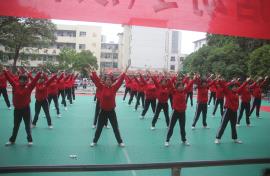 IMG_6538 IMG_6538